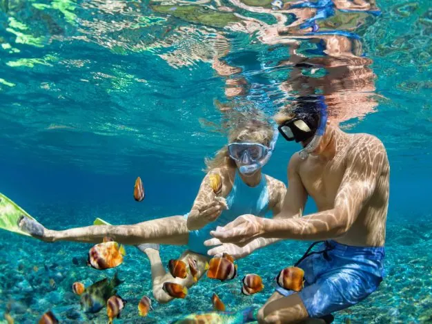 shutterstock_1832483269-scaled-626x469
